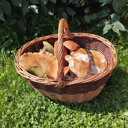 Agroturystyka Chata Za Wsia Uscie Gorlickie Exterior foto