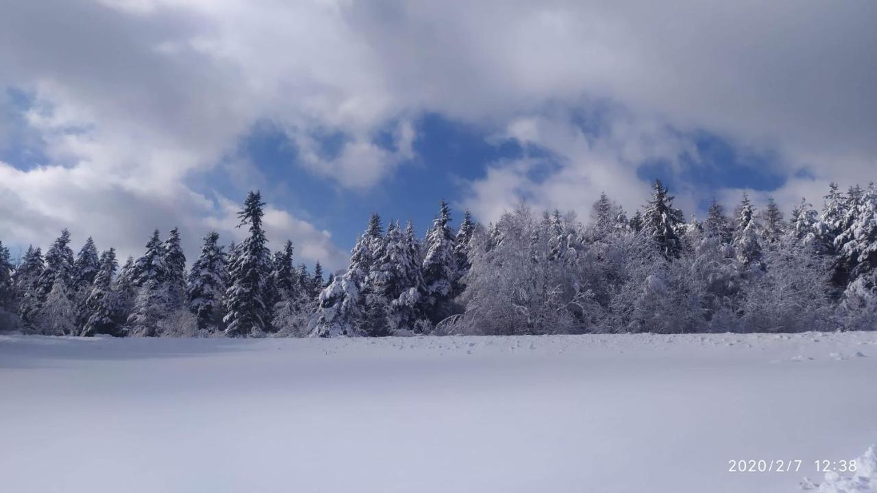 Agroturystyka Chata Za Wsia Uscie Gorlickie Exterior foto